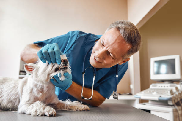 Best Emergency Tooth Extraction in Frisco City, AL
